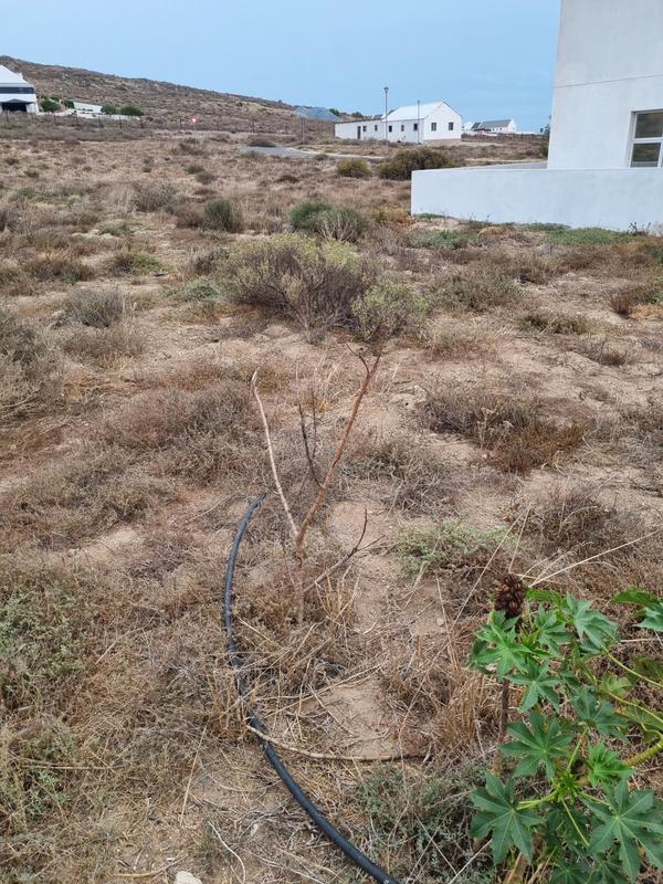 3 Bedroom Property for Sale in St Helena Views Western Cape